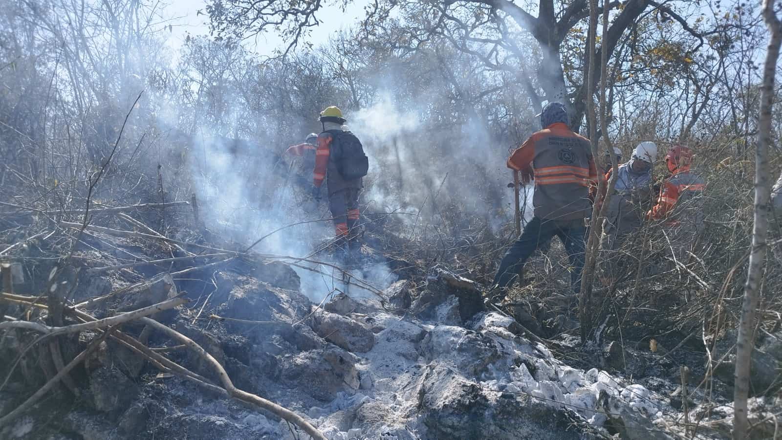 Chiapas Es La Segunda Entidad Con M S Hect Reas Afectadas Por Incendios