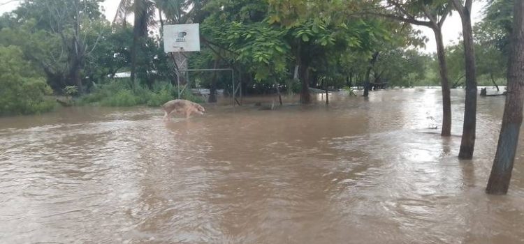 Desbordamiento del río Cahoacán afecta a comunidades de Tapachula y Suchiate