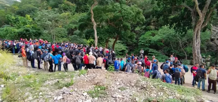 Rescatan a más de 300 migrantes en campamento clandestino en Chiapas