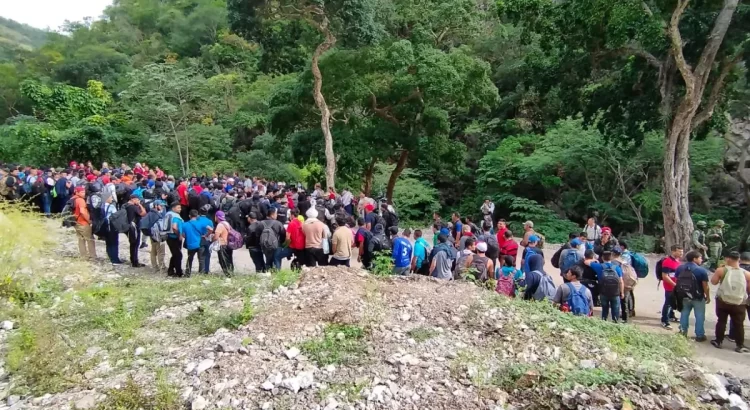 Rescatan a más de 300 migrantes en campamento clandestino en Chiapas