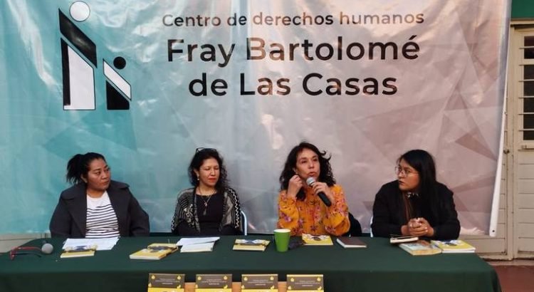 Organizaciones denuncian violación de Derechos Humanos hacia las mujeres