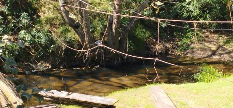 Si hubieron lesionados en accidente de puente colgante en la Cueva del Mamut