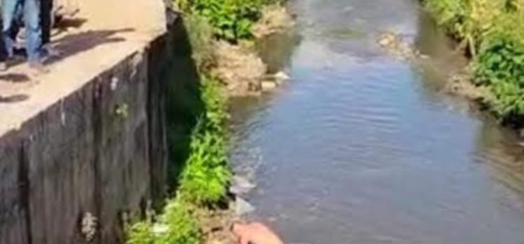 Indígenas de Chiapas golpean, desnudan y avientan a río de aguas negras a policía Indígenas de Chiapas golpean, desnudan y avientan a río de aguas negras a policía