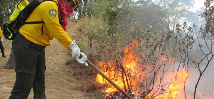 Chiapas registra 156 puntos de calor; exhortan a evitar quemas e incendios forestales