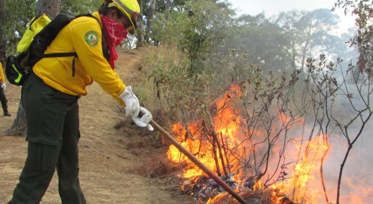 Chiapas registra 156 puntos de calor; exhortan a evitar quemas e incendios forestales