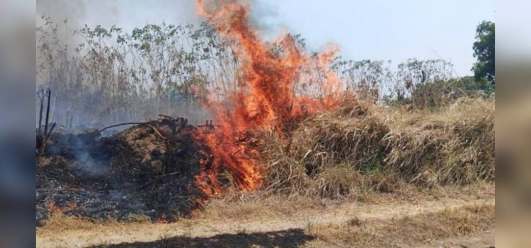 Cinco regiones de Chiapas se encuentran en color naranja por altas temperaturas