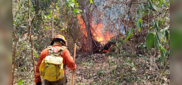 Detienen a sospechoso de provocar incendio forestal en el Cañón del Sumidero