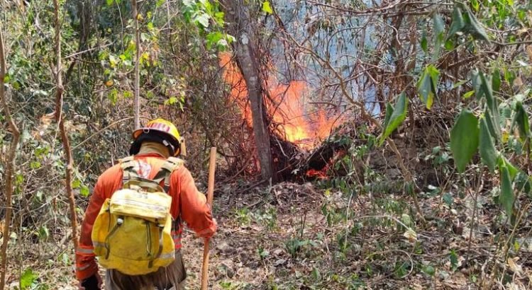 Combaten incendio en el Cañón del Sumidero