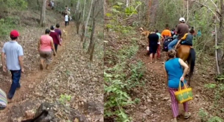 Para ponerse a salvo de los cárteles, pobladores de Chiapas recorren 50 kilómetros entre montañas