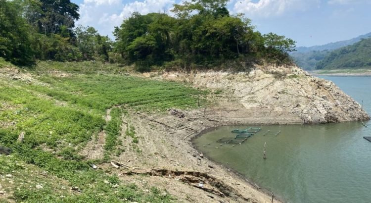 65% del territorio de Chiapas padece sequía en lo que va de este 2023