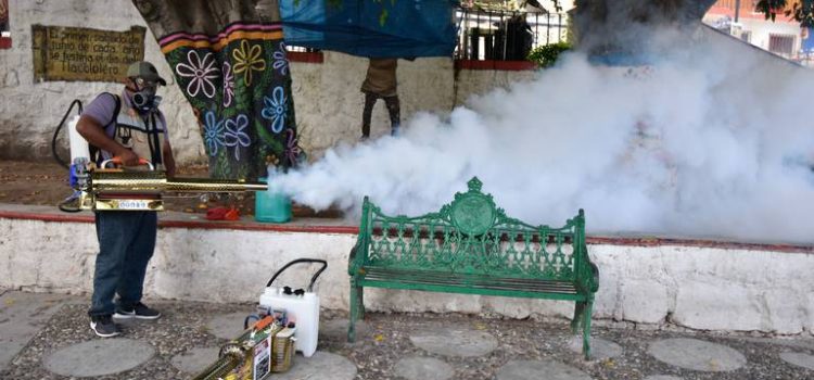 Secretaría de Salud alerta por casos graves de dengue en Chiapas