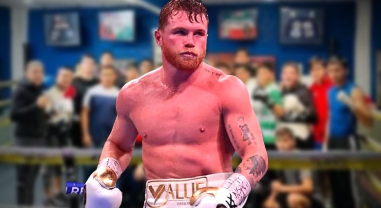 Canelo Álvarez enfrentaría a Jermall Charlo en mayo