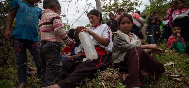 Solicitan atención para desplazados de Chenalhó