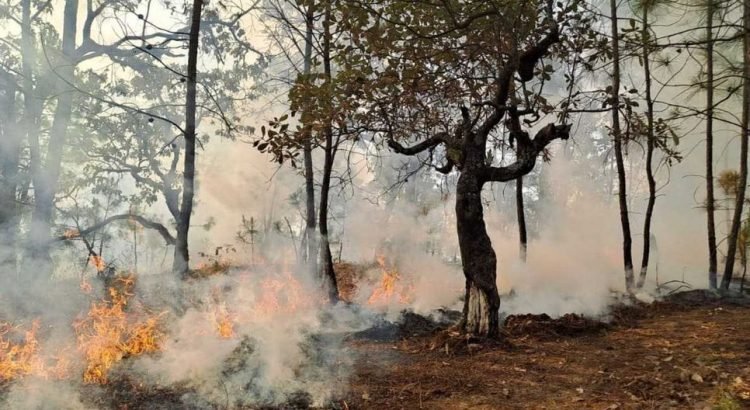 Se han sofocado 14 incendios en Chiapas