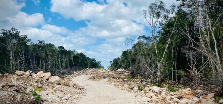 Chiapas: Impacto del Tren Maya en comunidades indígenas