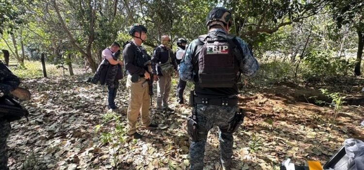 Son hallados al menos 15 cuerpos en fosas clandestinas de Chiapas