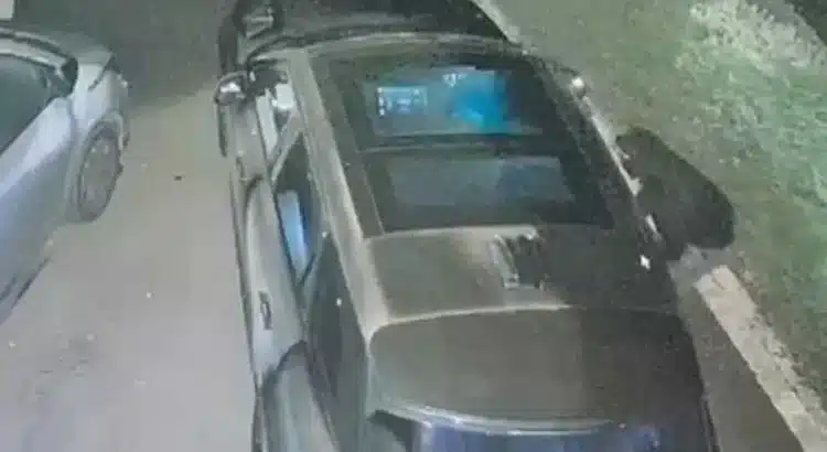 Se robaron un auto «imposible de robar»