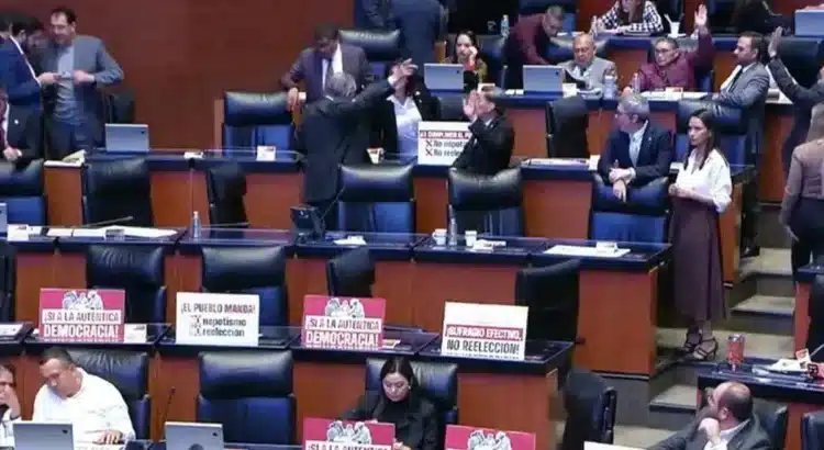Senado aprueba reforma contra el nepotismo electoral