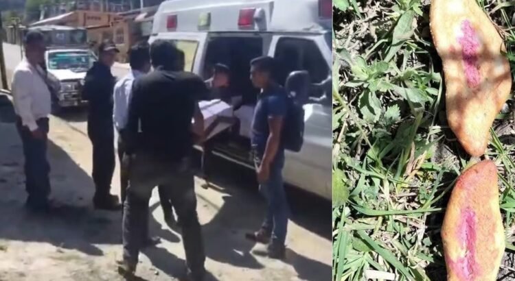 Tres niños mueren tras ingerir pan presuntamente envenenado en Chiapas