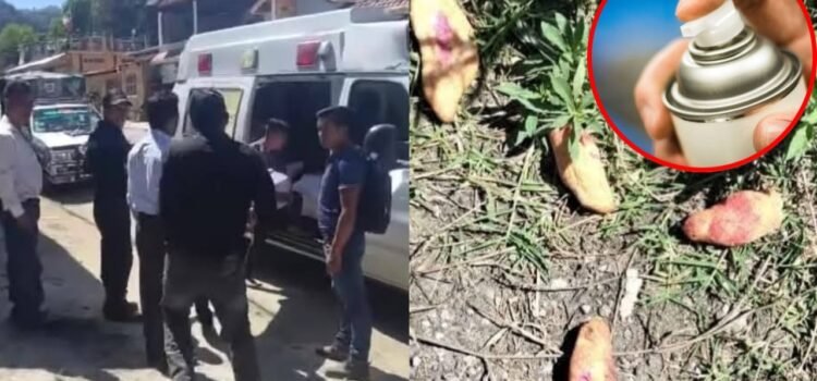 Menores de Chiapas murieron por inhalar insecticida no por comer pan envenenado: FGE