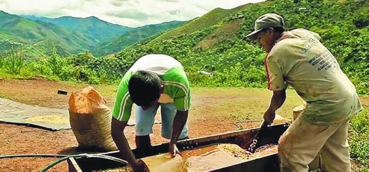 Inclusión financiera en la Zona Selva del Norte de Chiapas