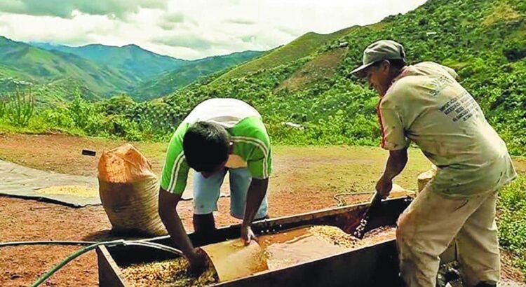 Inclusión financiera en la Zona Selva del Norte de Chiapas
