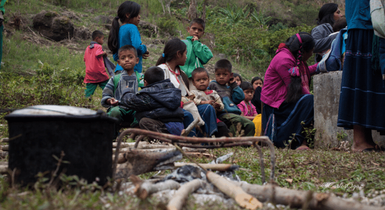 Desplazados de Tzanembolom denuncian abandono institucional y falta de ayuda humanitaria