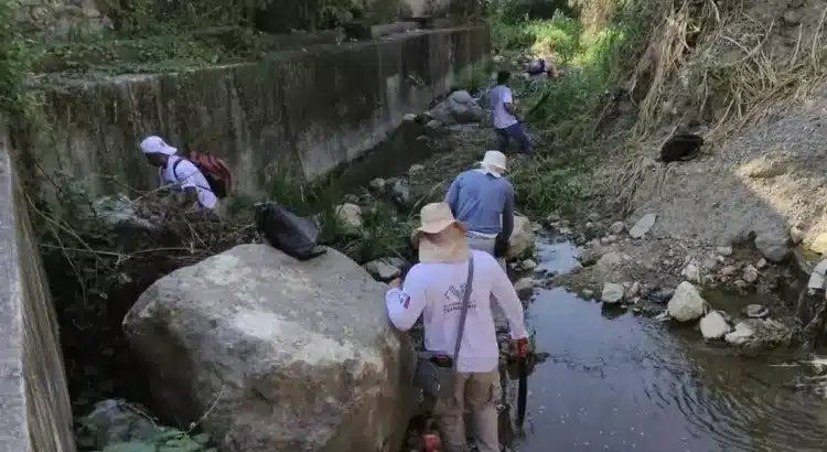 Municipios de Chiapas vulnerables ante la temporada de huracanes