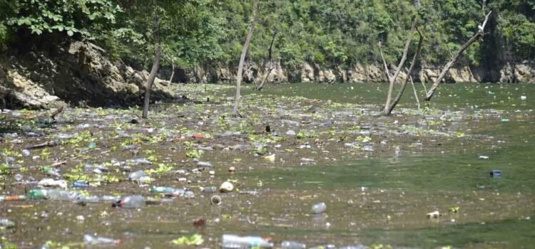 Plan Estatal de Desarrollo reconoce crisis ambiental en Chiapas