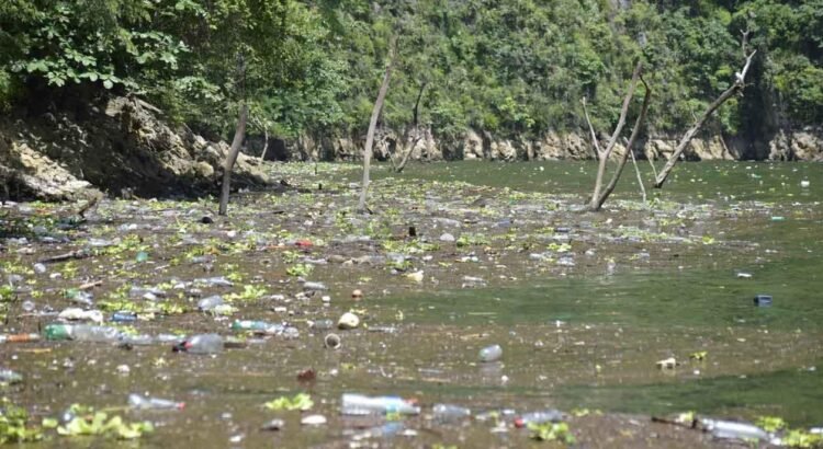 Plan Estatal de Desarrollo reconoce crisis ambiental en Chiapas