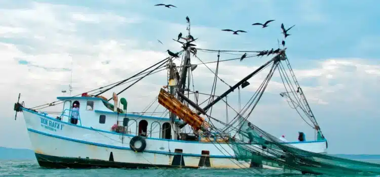 Veda en la Costa de Chiapas afecta a miles de embarcaciones