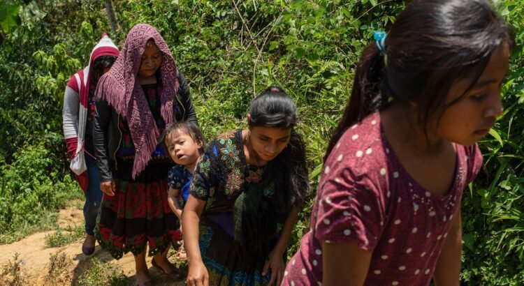Chiapas registra más de 17 mil casos desplazamientos forzados por violencia