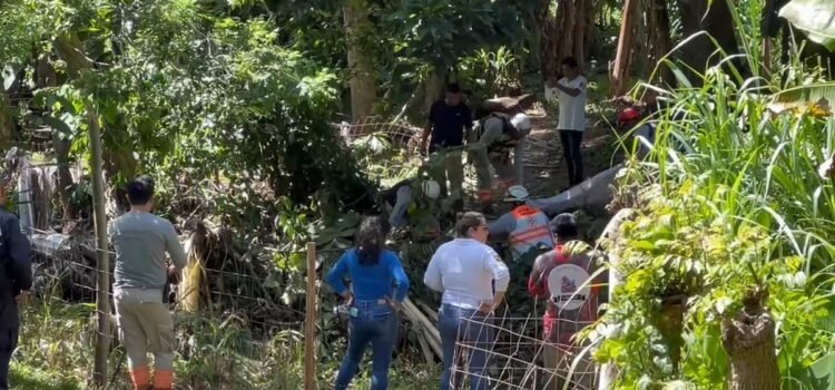 Hallan el cuerpo del joven extranjero succionado por una coladera en Tapachula Hallan el cuerpo del joven extranjero succionado por una coladera en Tapachula