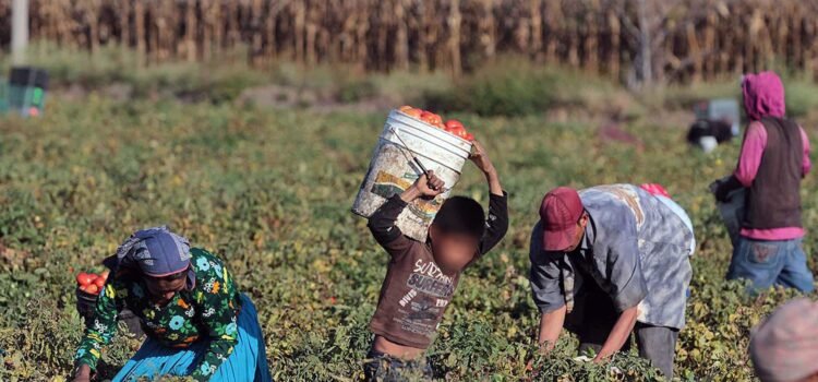 Niños de Chiapas están en riesgo de explotación laboral