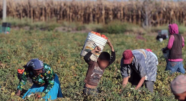 Niños de Chiapas están en riesgo de explotación laboral