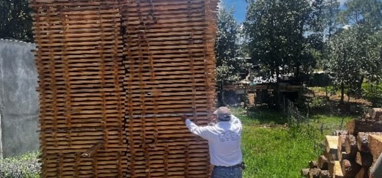 Profepa clausura carpinterías en Chiapas por operar sin permisos