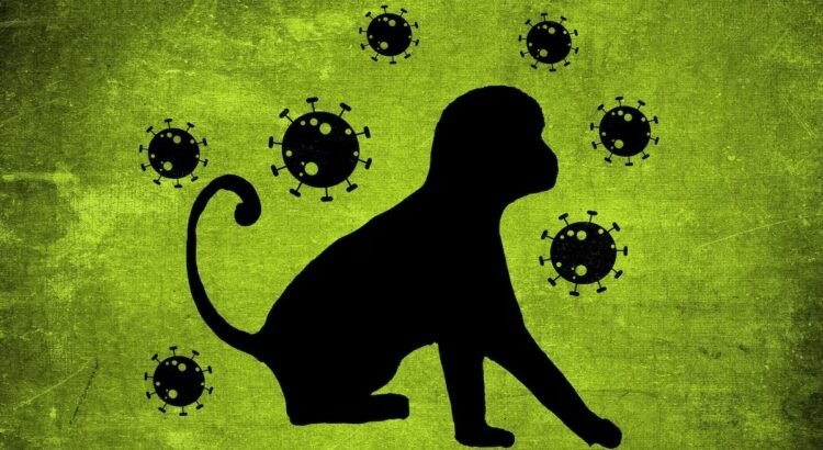 Chiapas se encuentra vulnerable ante la viruela del mono