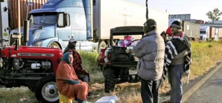 Dejan paros agrícolas pérdidas por más de 2 mil mdp