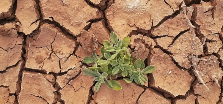 Se dirige el planeta hacia un catastrófico calentamiento de 2.5°C advierte la ONU Se dirige el planeta hacia un catastrófico calentamiento de 2.5°C advierte la ONU